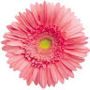 Meet your Posher, Margaret